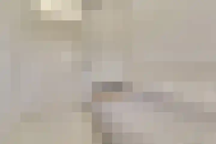 Valenkamp 4 Elst thumbnail 27