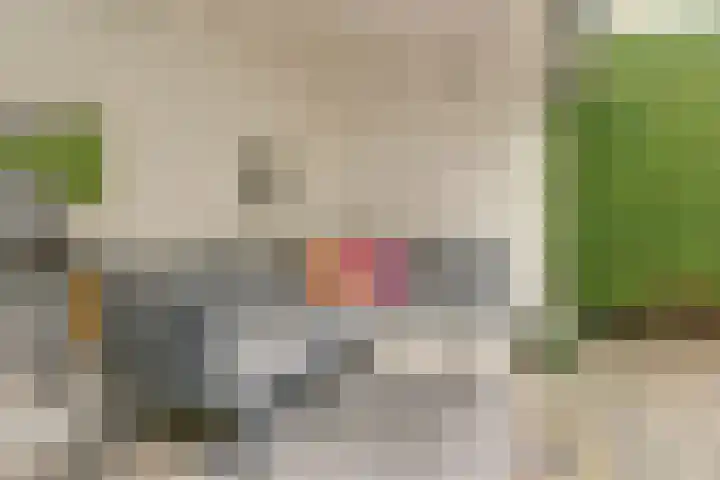 Valenkamp 4 Elst thumbnail 33