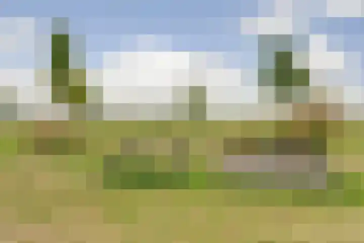 Valenkamp 4 Elst thumbnail 35