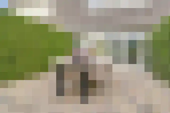 Valenkamp 4 Elst thumbnail 36