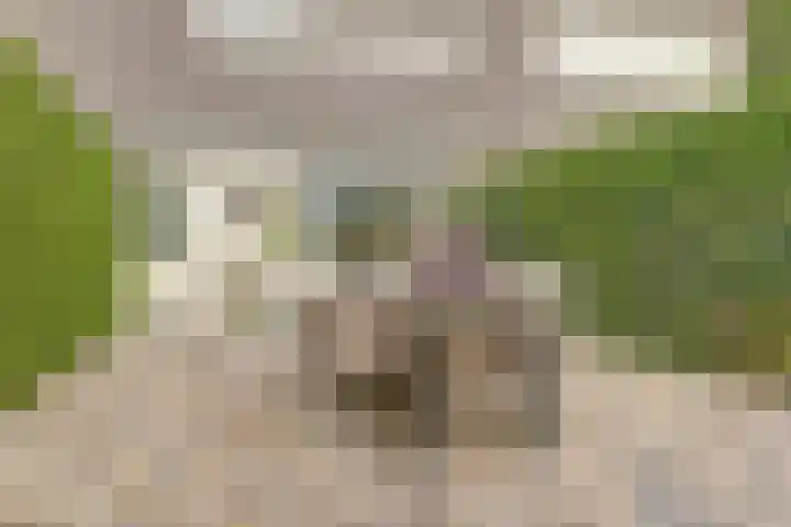 Valenkamp 4 Elst thumbnail 37