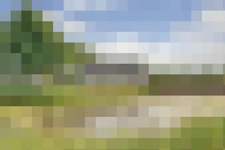 Valenkamp 4 Elst thumbnail 39