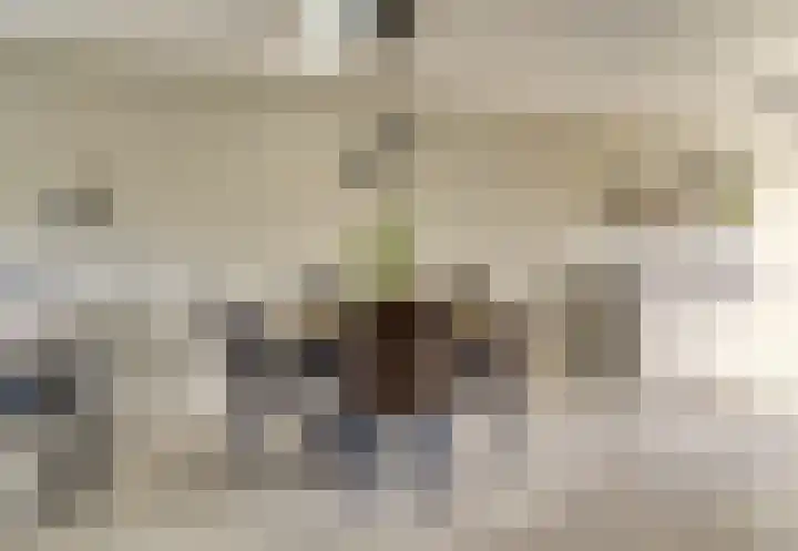 Valenkamp 4 Elst thumbnail 4