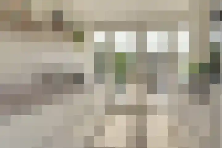 Valenkamp 4 Elst thumbnail 5