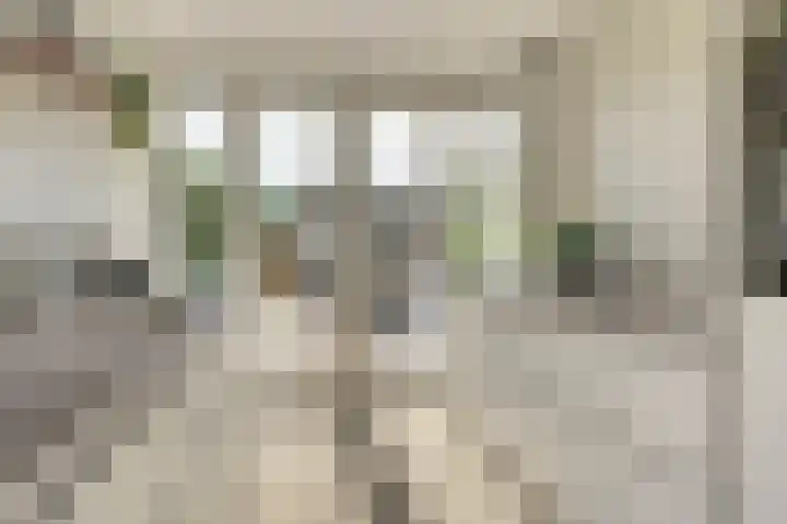 Valenkamp 4 Elst thumbnail 6