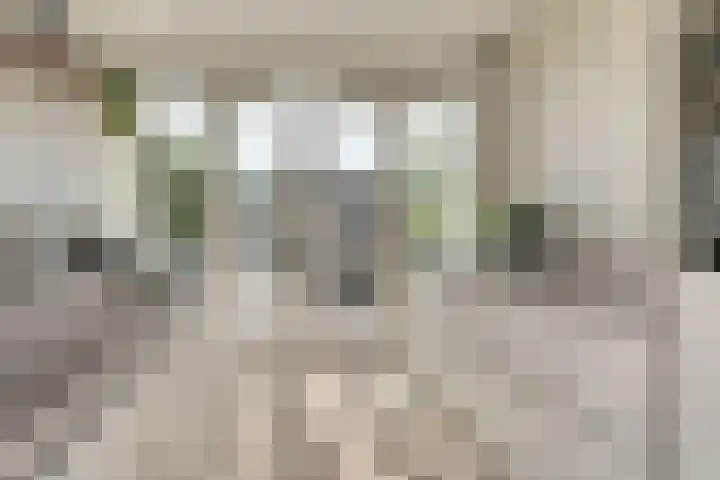 Valenkamp 4 Elst thumbnail 7