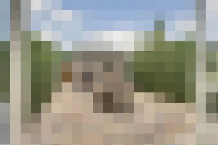Valenkamp 4 Elst thumbnail 8