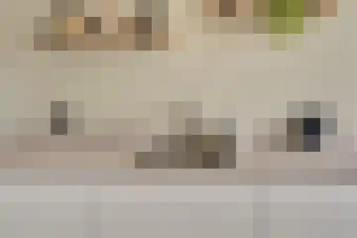 Valenkamp 4 Elst thumbnail 9