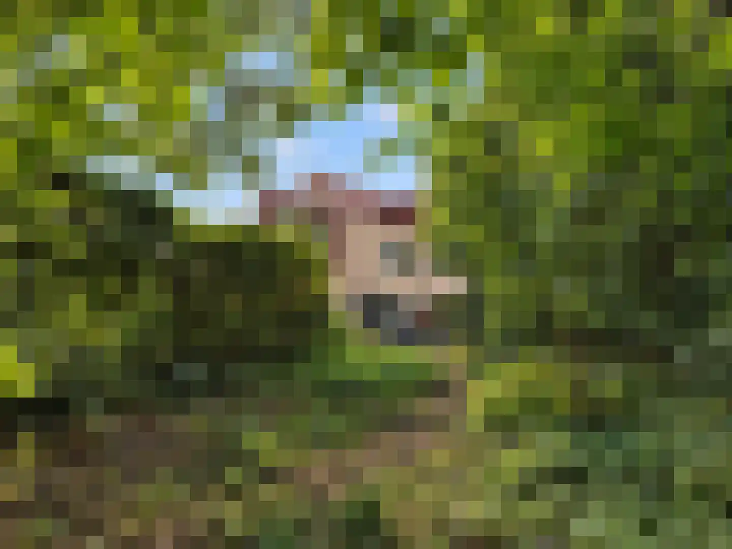 Valentijn 47 Driebergen-Rijsenburg thumbnail 41