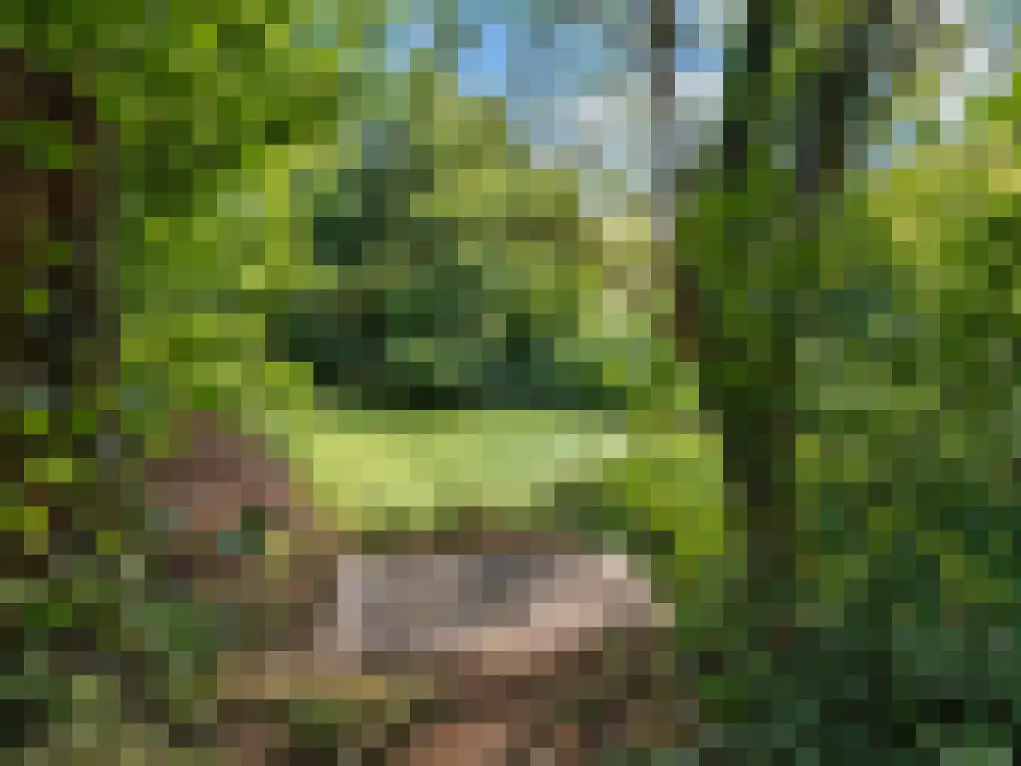 Valentijn 47 Driebergen-Rijsenburg thumbnail 5