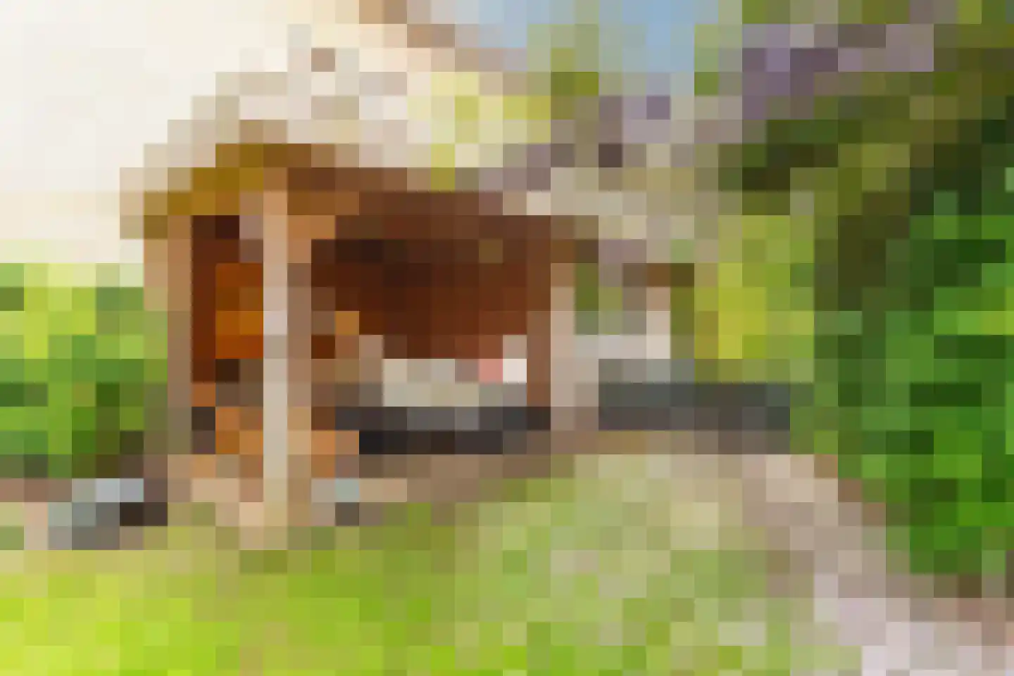 Valentijn 49 Driebergen-Rijsenburg thumbnail 38