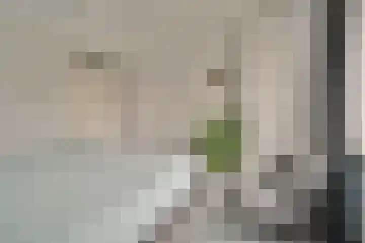 Valentijnkade 119 Amsterdam thumbnail 12