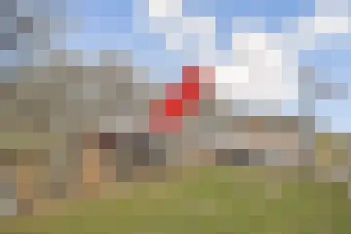 Valentijnkade 119 Amsterdam thumbnail 17