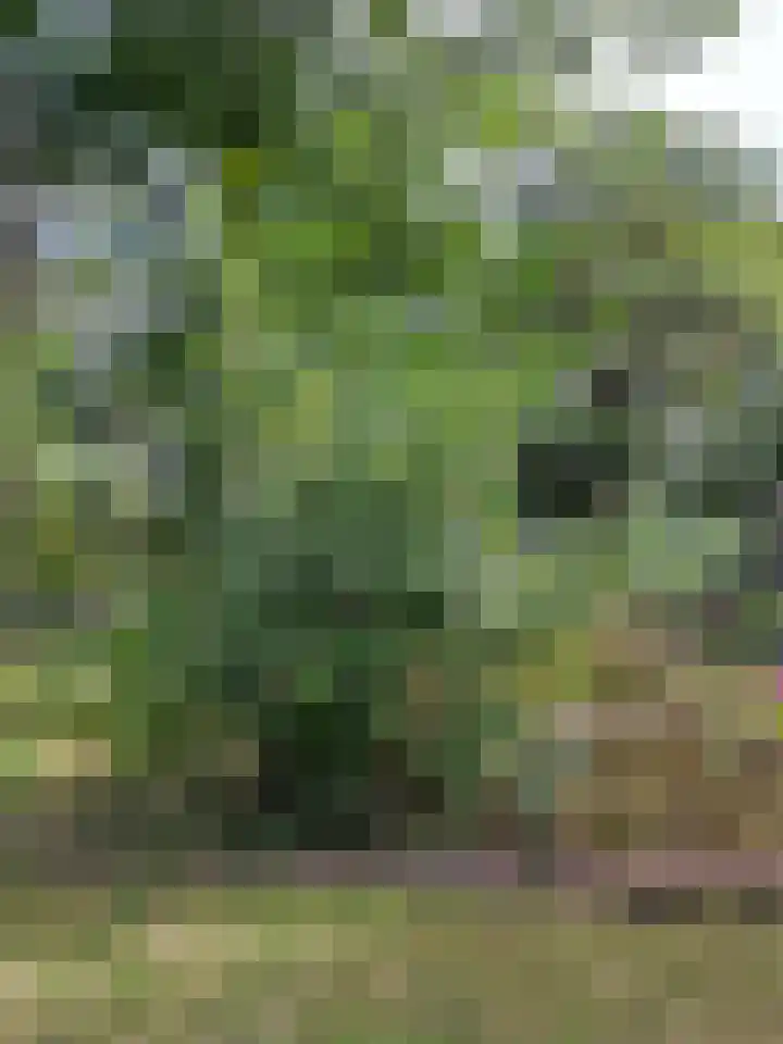 Valentijnkade 119 Amsterdam thumbnail 22