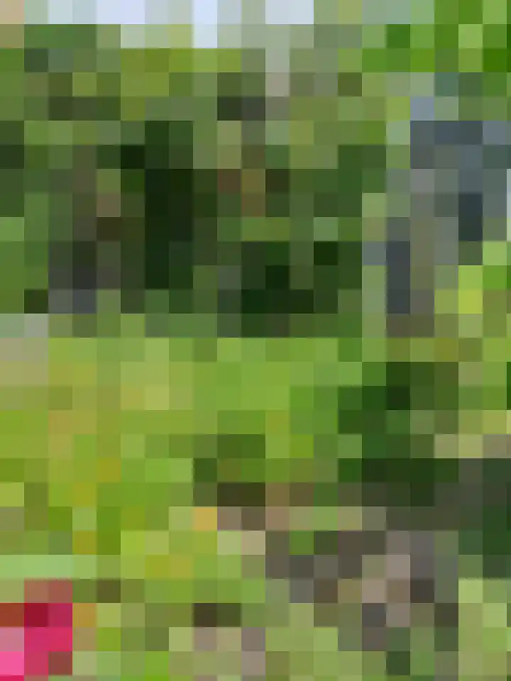 Valentijnkade 119 Amsterdam thumbnail 23