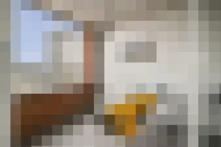 Valentijnkade 119 Amsterdam thumbnail 9