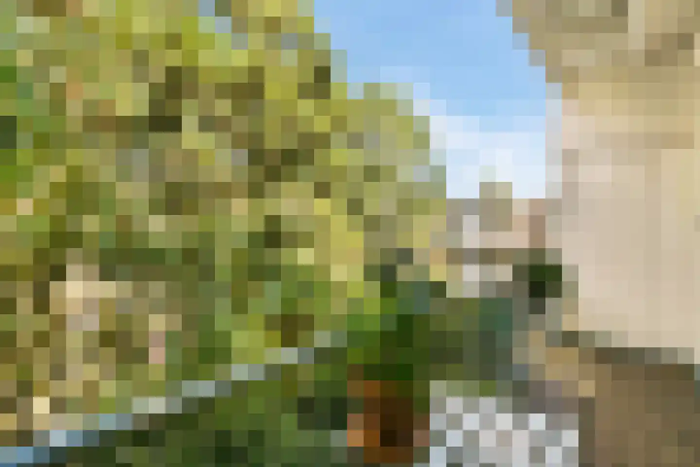 Valentijnkade 30 2 Amsterdam thumbnail 12