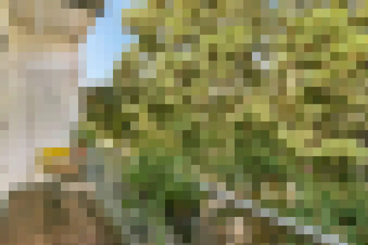 Valentijnkade 30 2 Amsterdam thumbnail 13