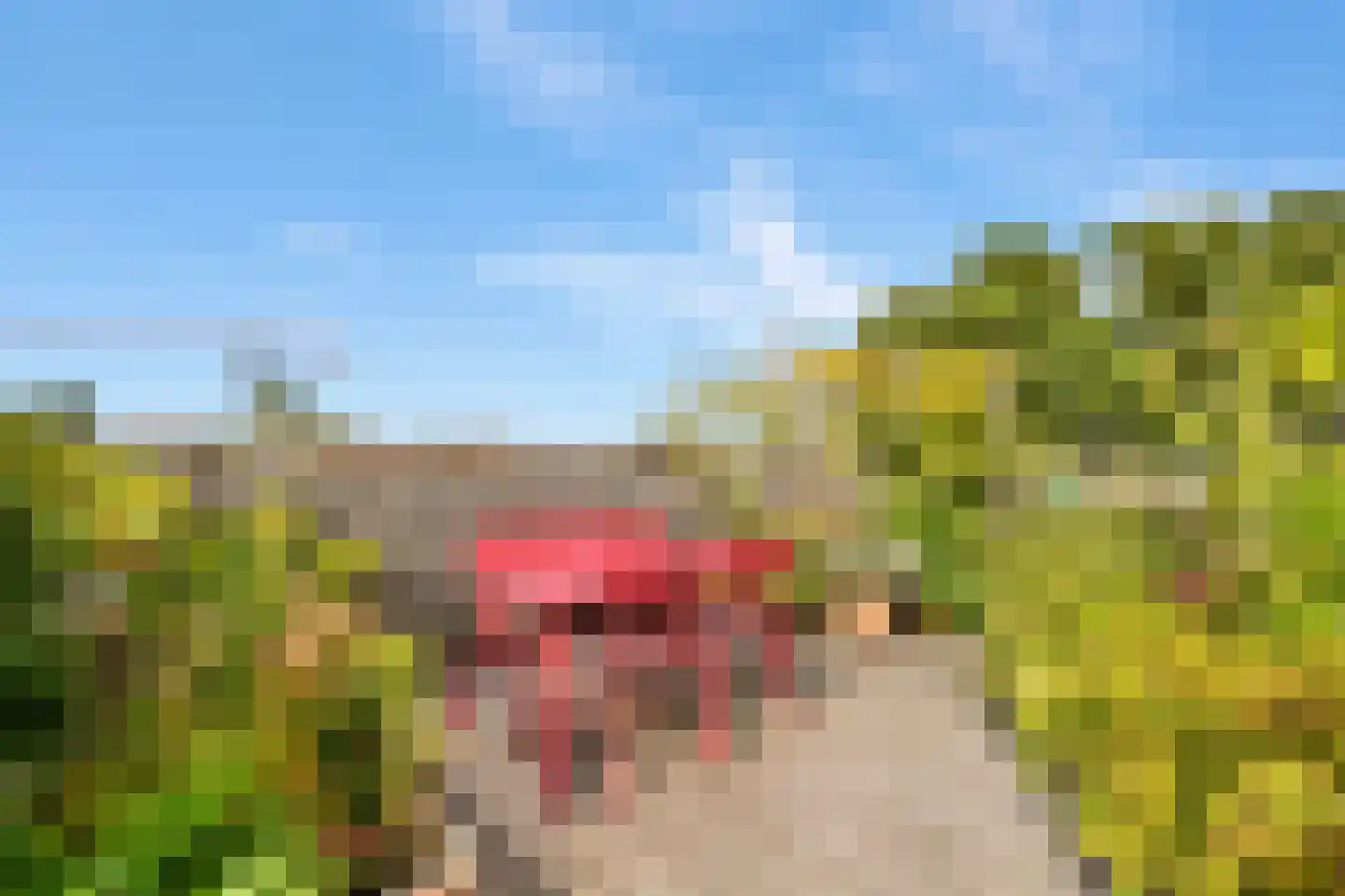 Valentijnkade 30 2 Amsterdam thumbnail 14