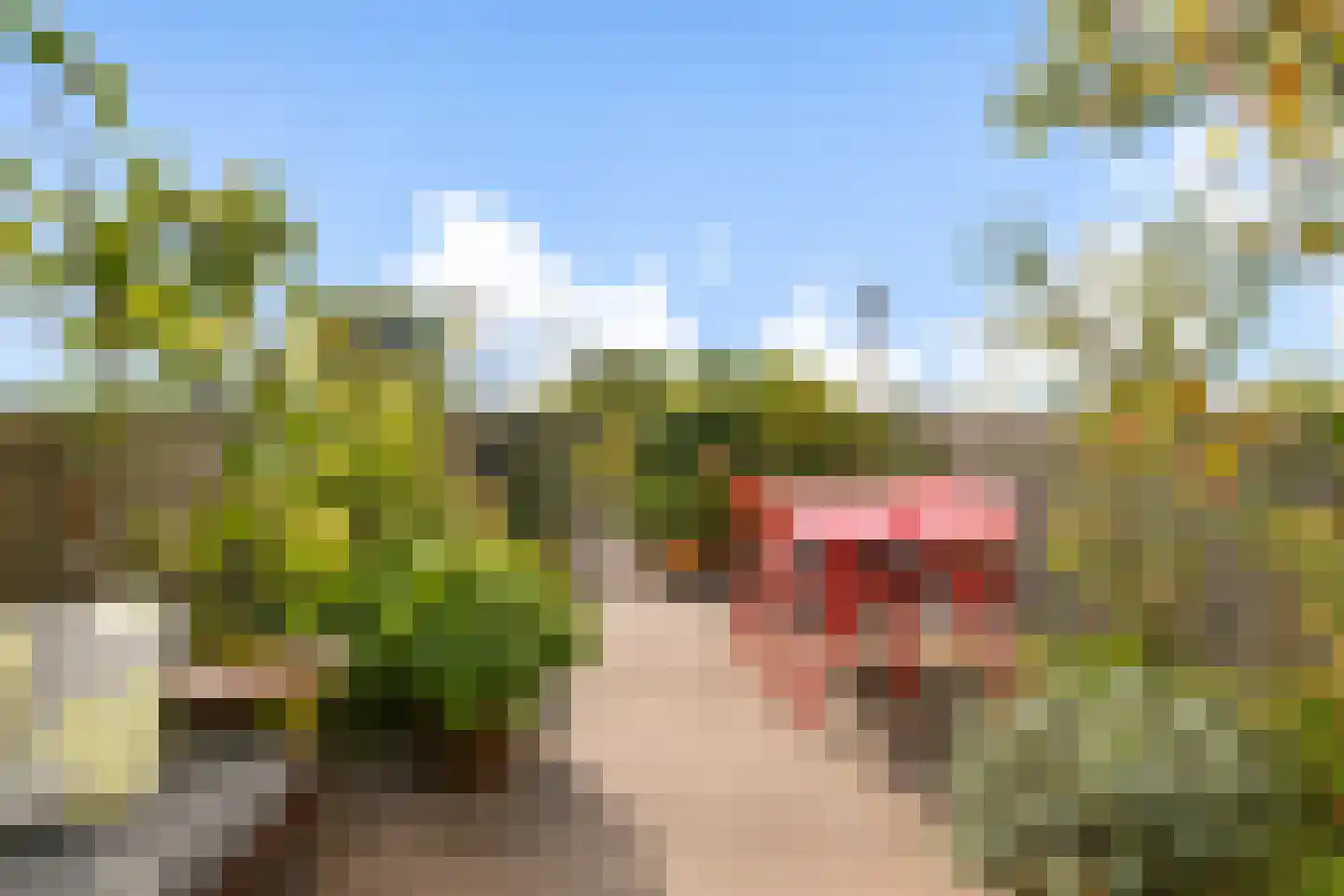 Valentijnkade 30 2 Amsterdam thumbnail 16
