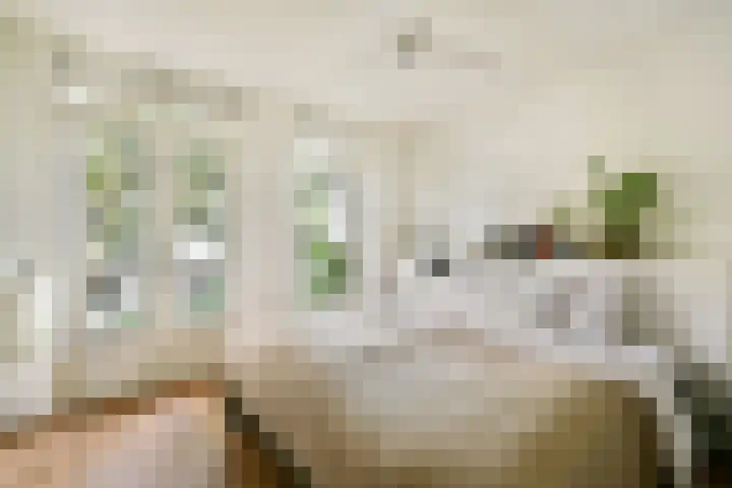 Valentijnkade 30 2 Amsterdam thumbnail 19
