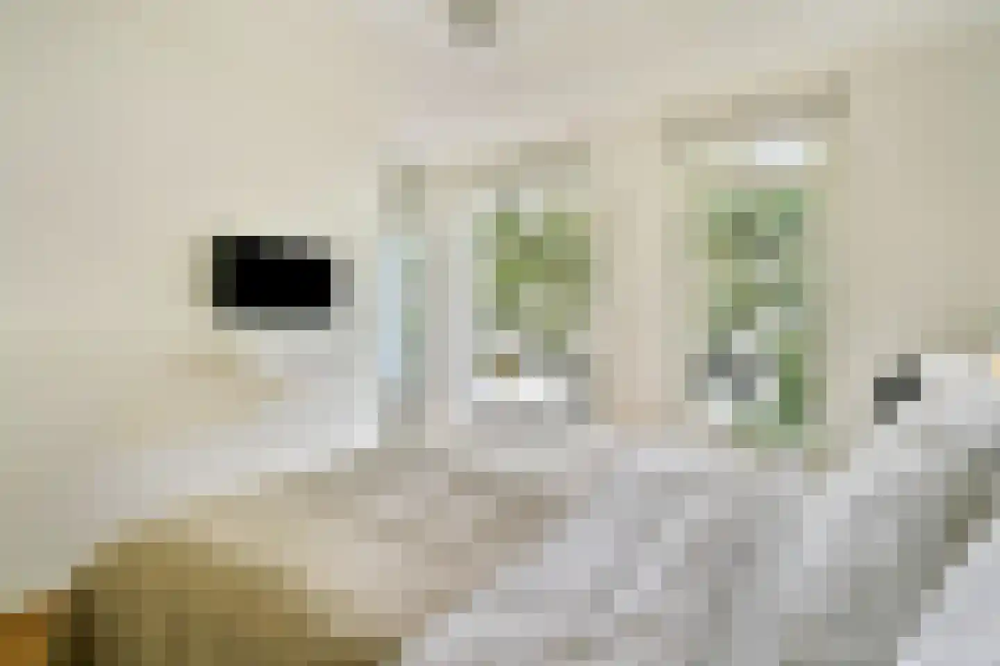 Valentijnkade 30 2 Amsterdam thumbnail 20