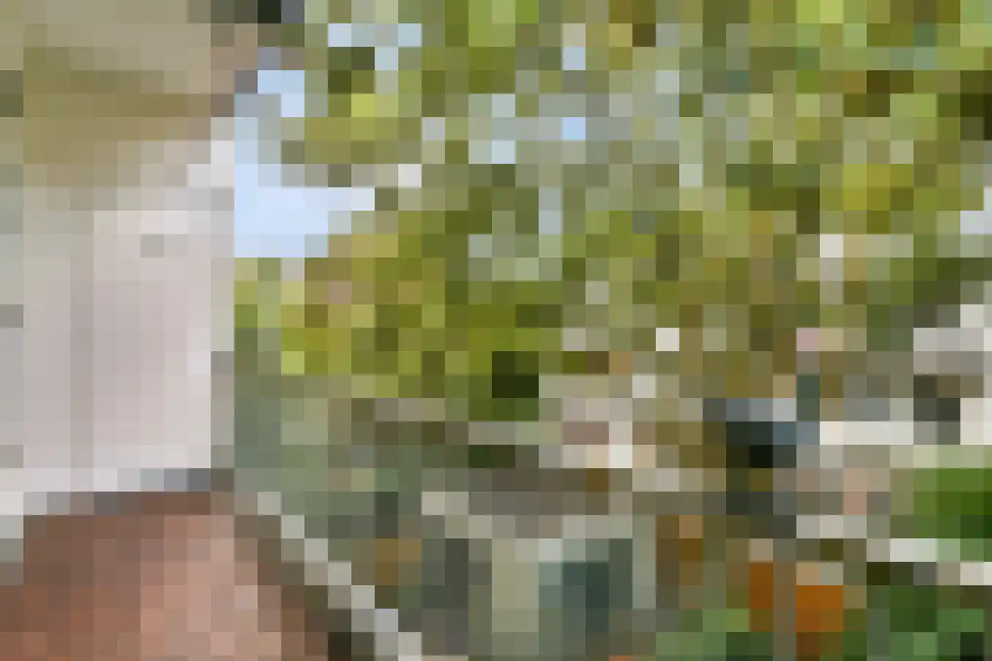 Valentijnkade 30 2 Amsterdam thumbnail 23