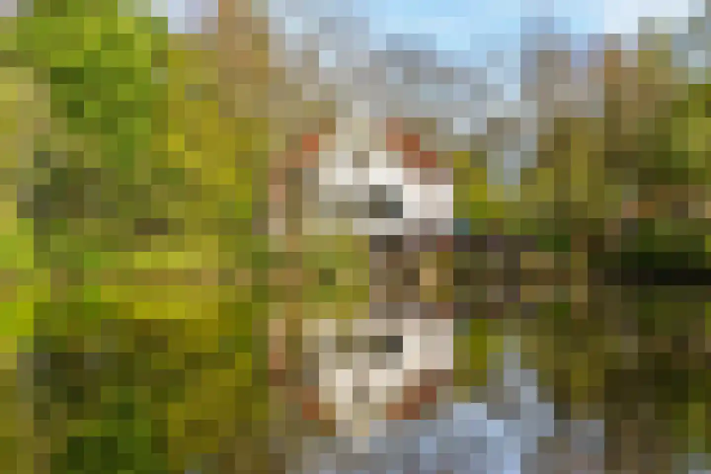 Valentijnkade 30 2 Amsterdam thumbnail 38