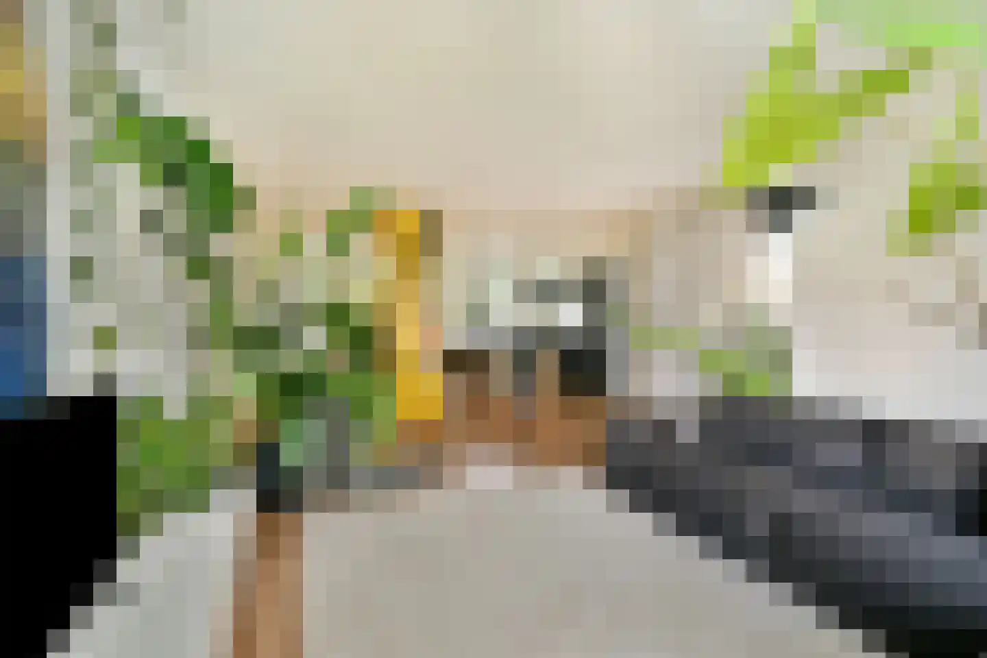 Valentijnkade 30 2 Amsterdam thumbnail 5