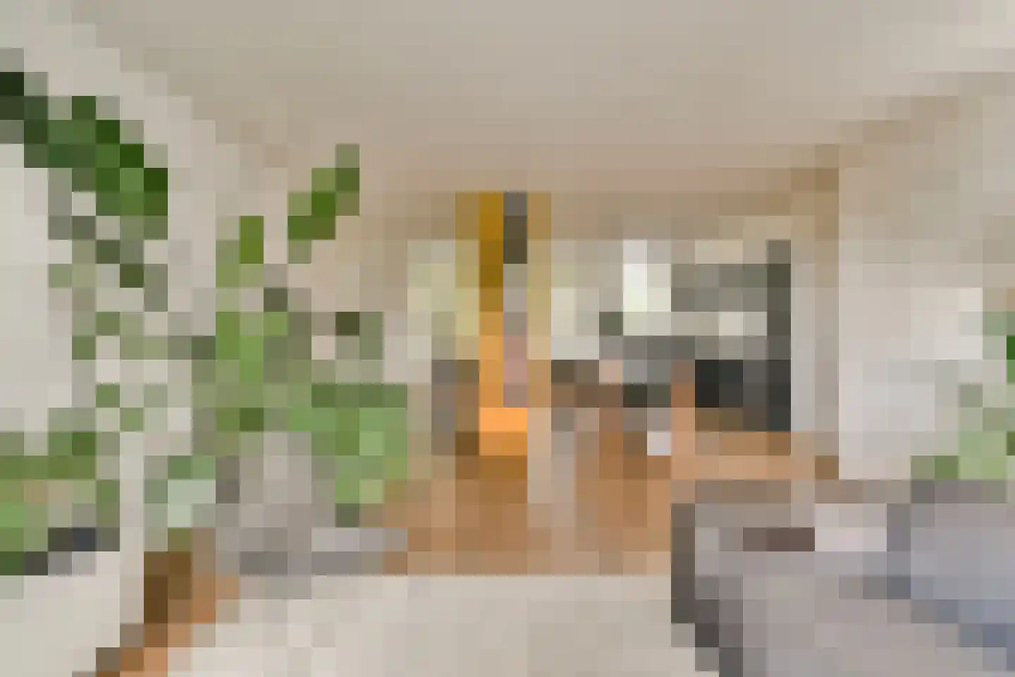 Valentijnkade 30 2 Amsterdam thumbnail 6