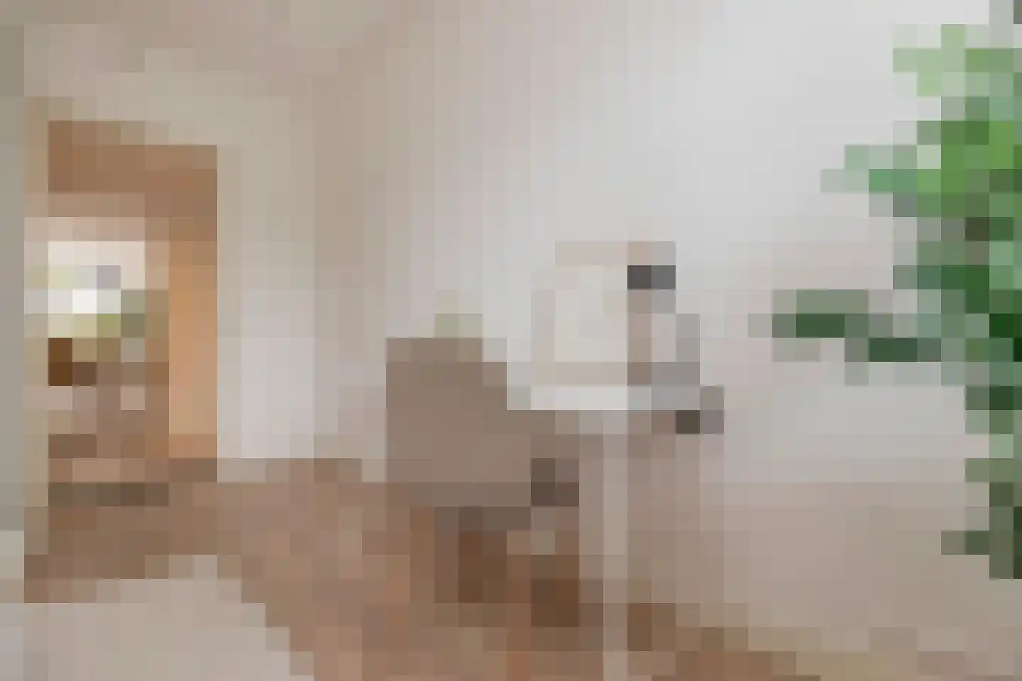 Valentijnkade 39 4 Amsterdam thumbnail 18