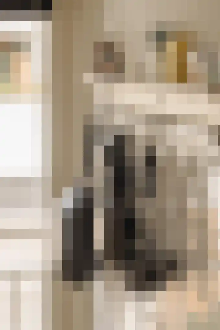 Valentijnkade 51 3 Amsterdam thumbnail 11