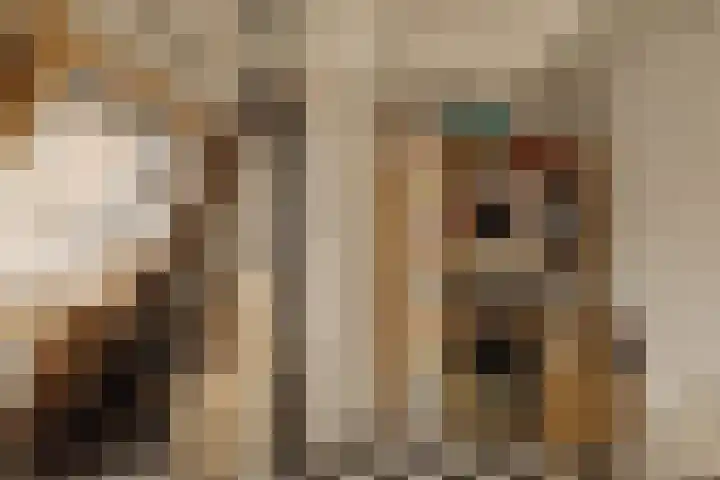 Valentijnkade 51 3 Amsterdam thumbnail 18