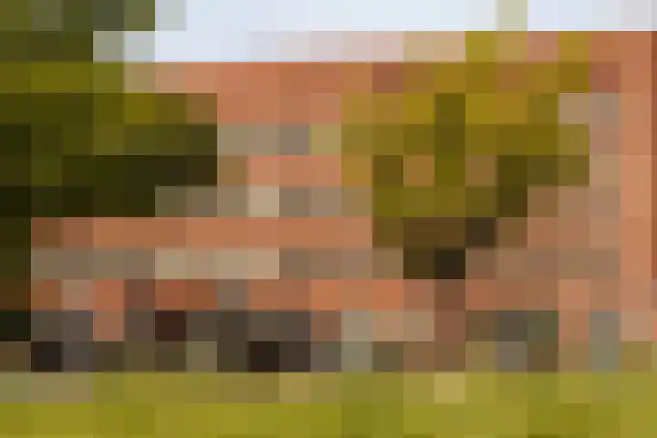 Valentijnkade 51 3 Amsterdam thumbnail 20