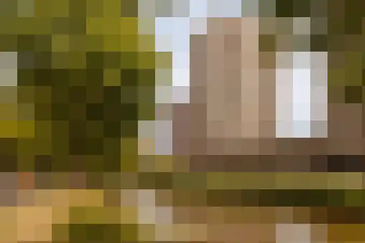 Valentijnkade 51 3 Amsterdam thumbnail 21