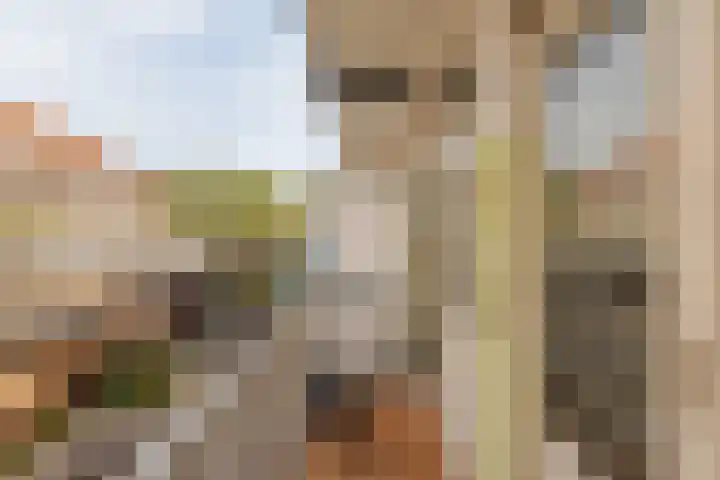 Valentijnkade 51 3 Amsterdam thumbnail 5
