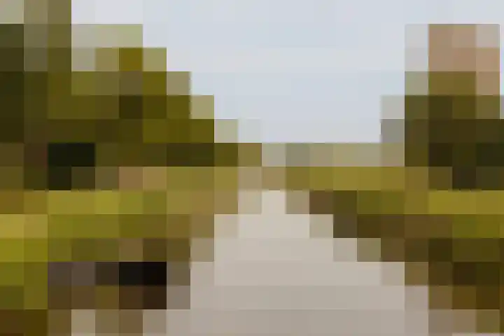 Valentijnkade 51 3 Amsterdam thumbnail 6