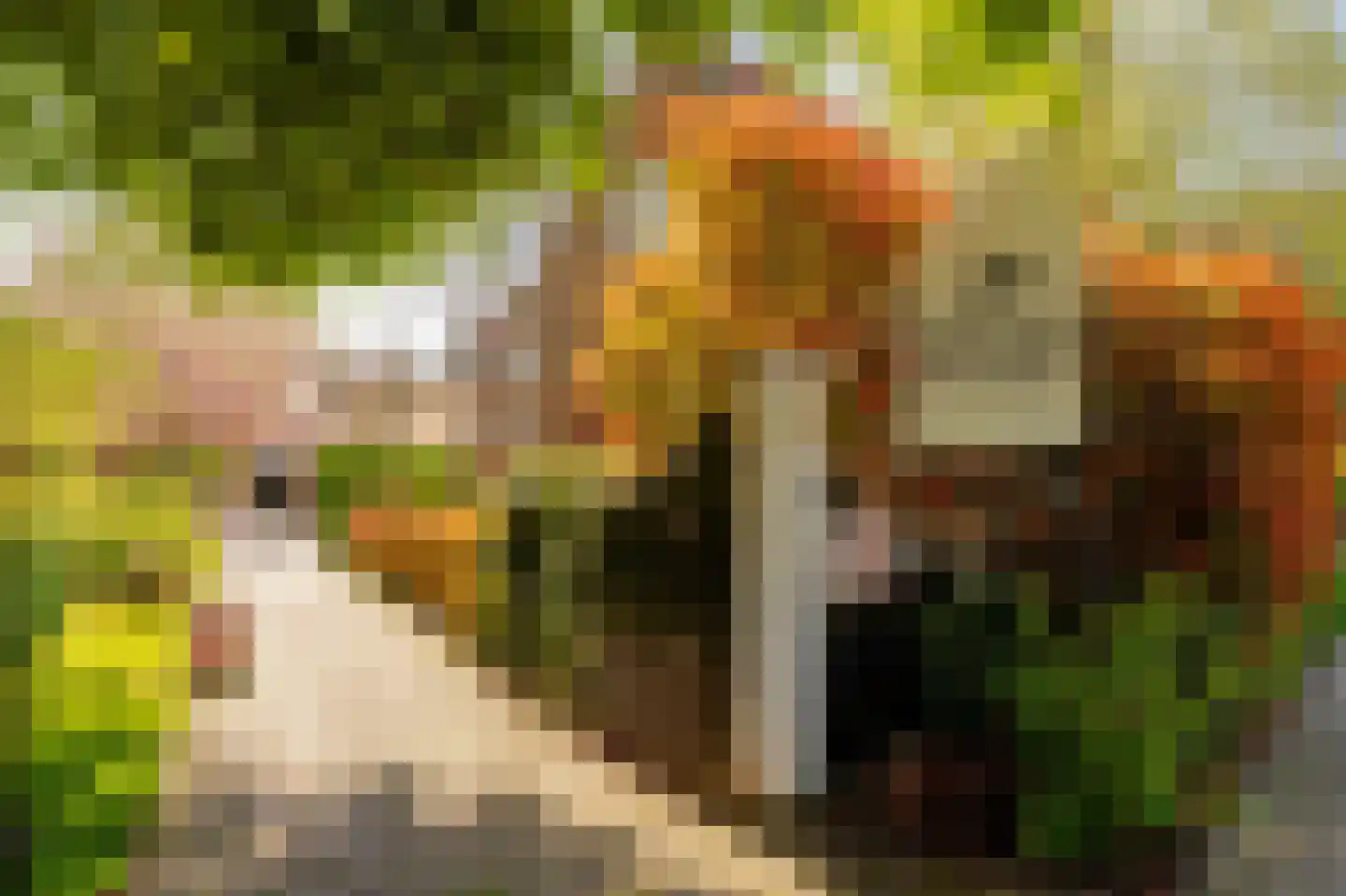 Valentijnkade 57 D Amsterdam thumbnail 31