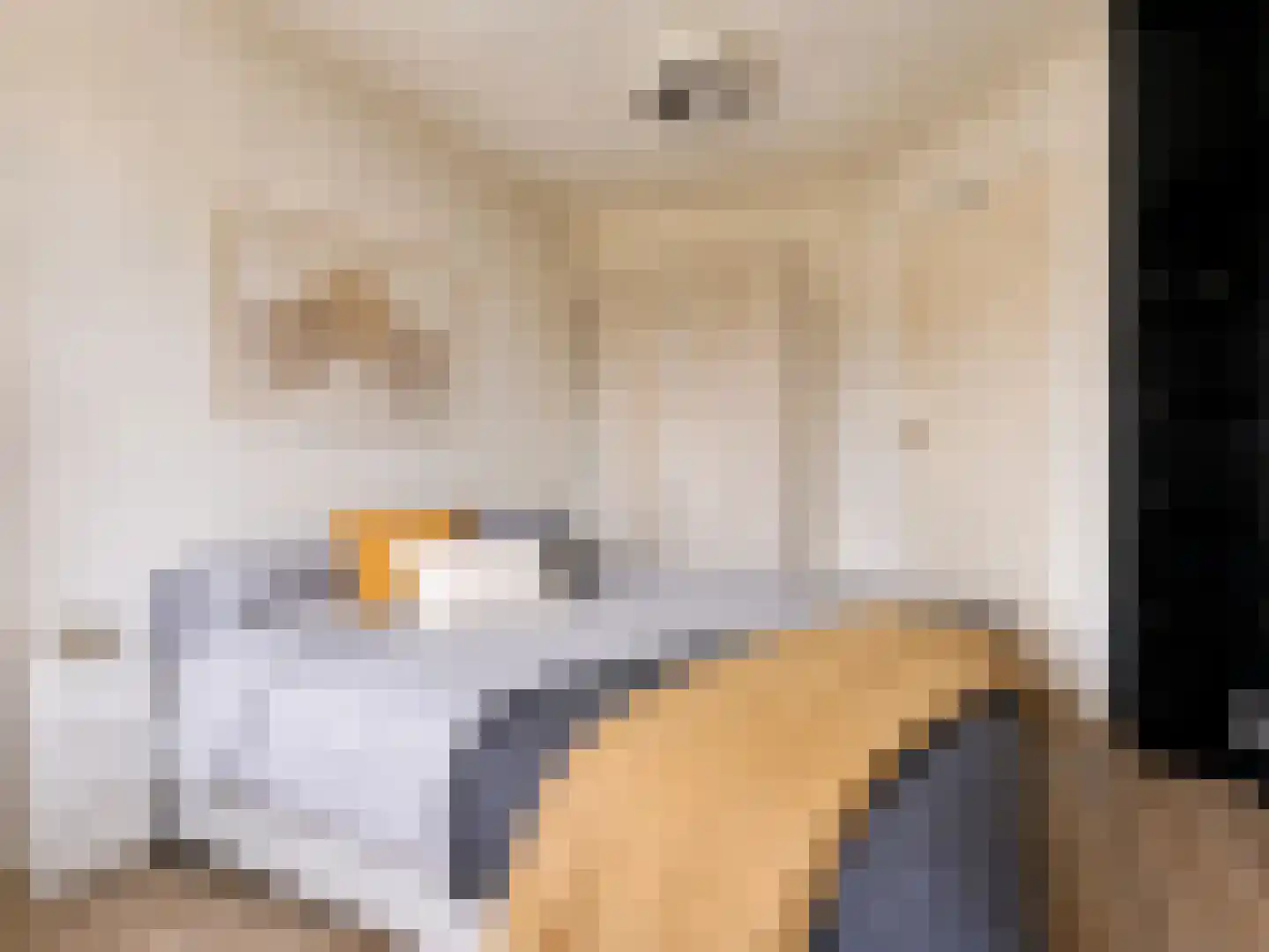 Valentijnkade 60 2 Amsterdam thumbnail 14