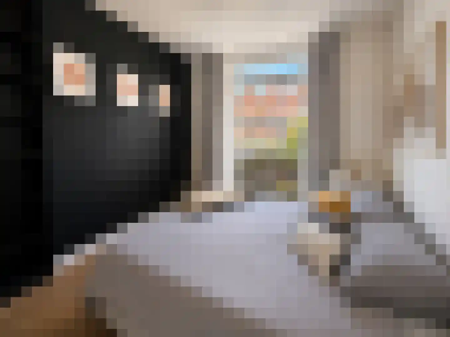 Valentijnkade 60 2 Amsterdam thumbnail 15