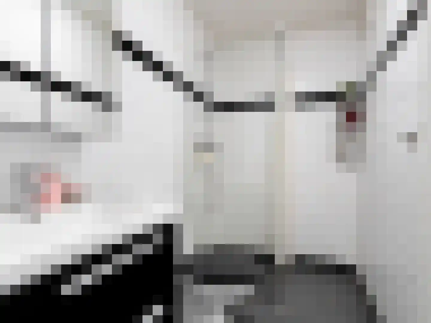 Valentijnkade 60 2 Amsterdam thumbnail 18