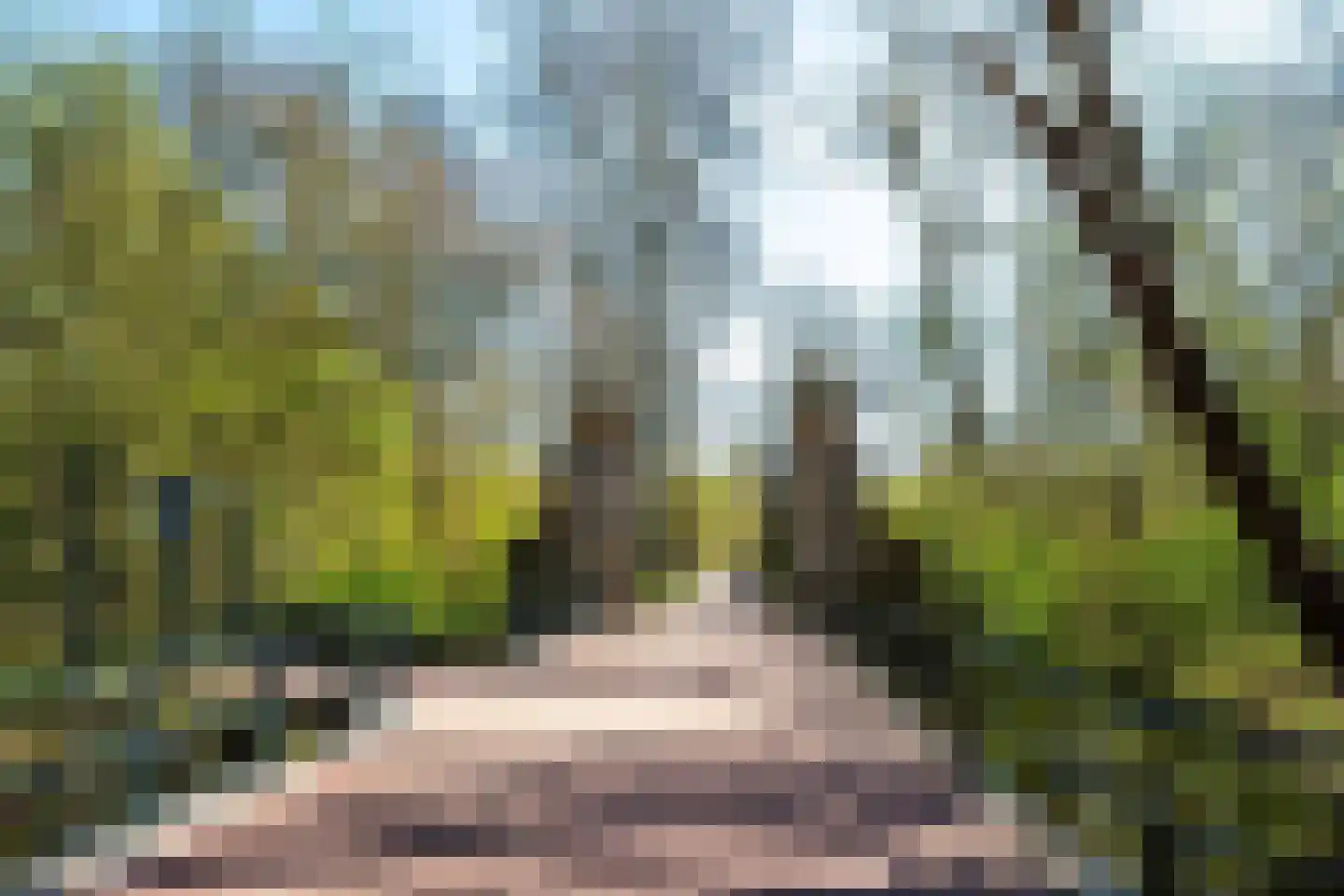 Valentijnkade 60 2 Amsterdam thumbnail 26