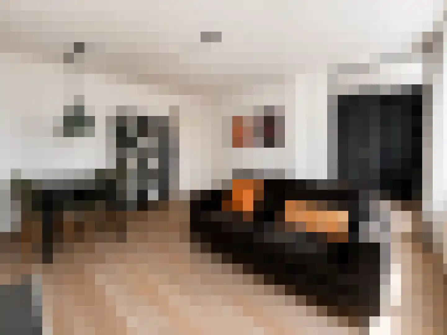Valentijnkade 60 2 Amsterdam thumbnail 4