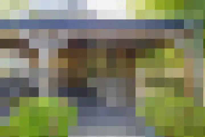 Valentijnsingel 16 Ter Aar thumbnail 17