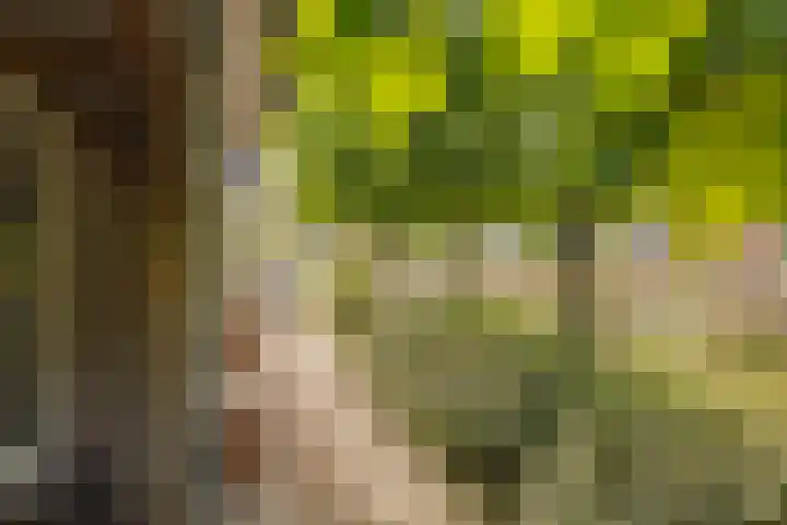 Valentijnsingel 16 Ter Aar thumbnail 20
