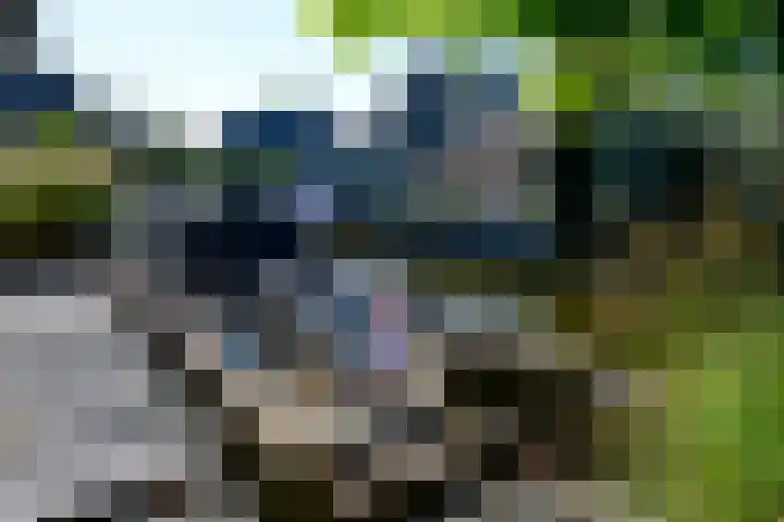 Valentijnsingel 16 Ter Aar thumbnail 21
