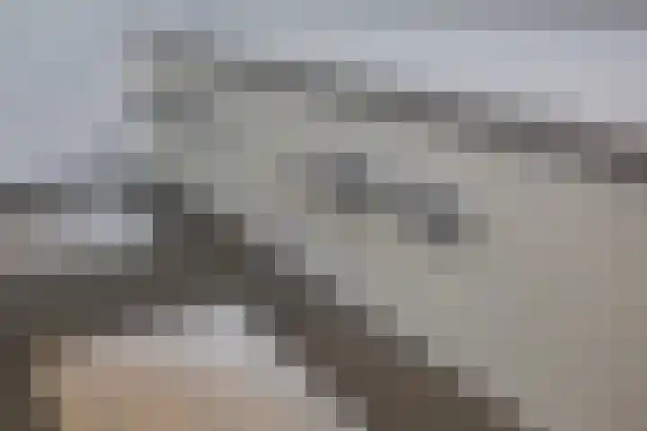 Valentijnsingel 16 Ter Aar thumbnail 39