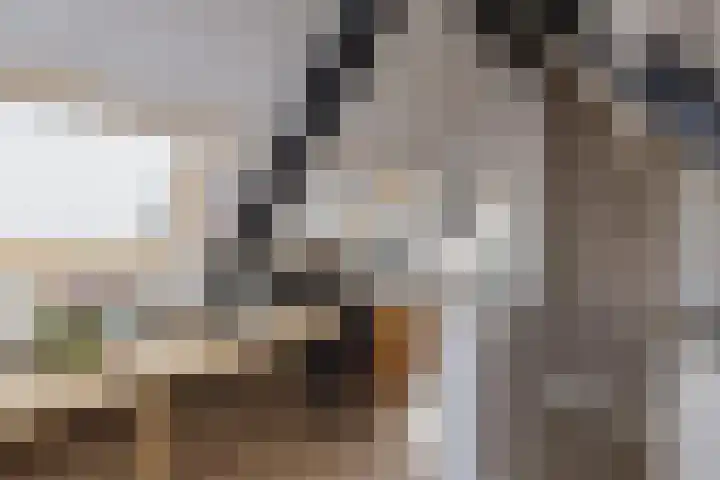 Valentijnsingel 16 Ter Aar thumbnail 49