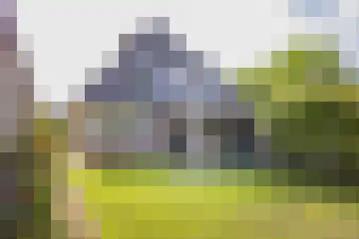 Valentijnsingel 16 Ter Aar thumbnail 54