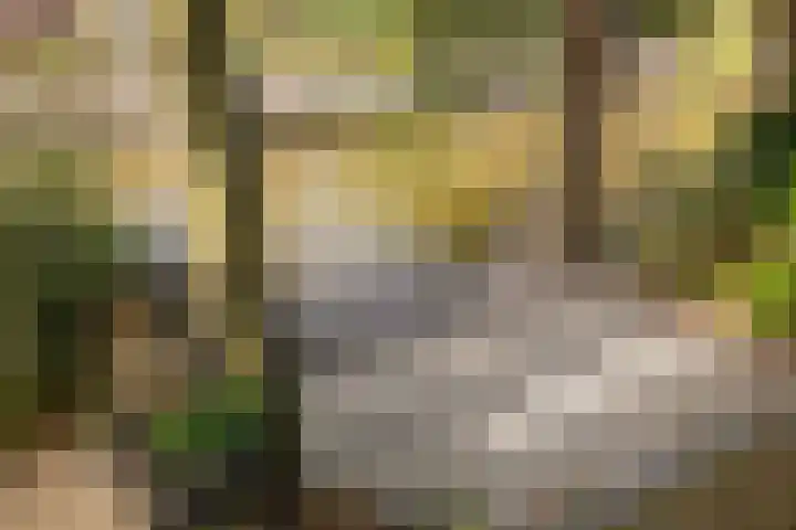 Valentijnsingel 16 Ter Aar thumbnail 56